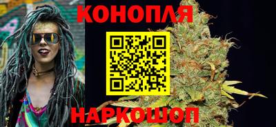 apvp Бийск