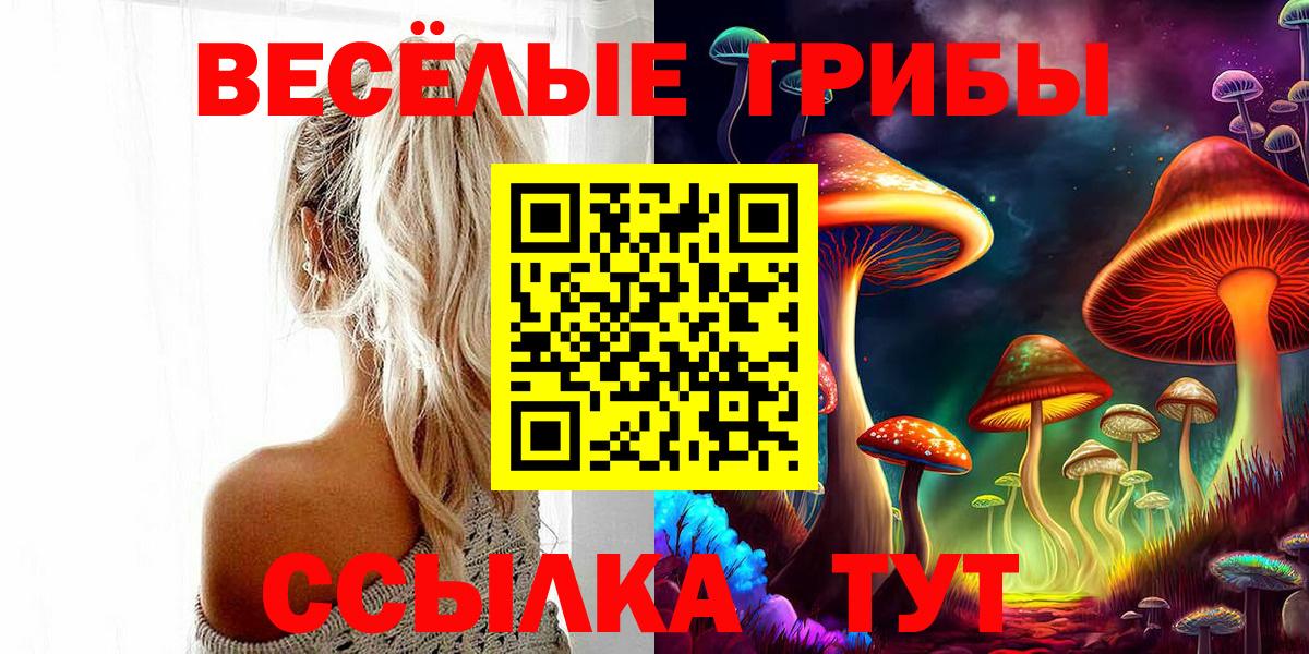 Каспийск  магазин  наркотиков  Вход с VPN  Галлюциногенные грибы Psilocybe  Галлюциногенные грибы GOLDEN TEACHER 